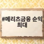 메리츠금융 순익 최대 상반기 1.5조 달성 메리츠금융 순익 최대