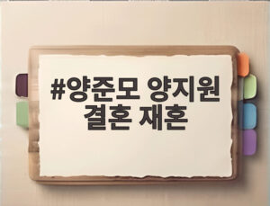 양준모 양지원 결혼 재혼
