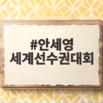 안세영 세계선수권대회