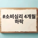 소비심리 4개월 하락 전환에 집값 기대도 주춤 8월 소비자심리지수 진단 소비심리 4개월 하락
