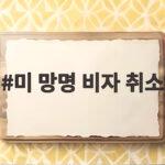 미 망명 비자 취소 최대 20만 명, 이 비자 가진 사람이라면 꼭 확인하세요 미 망명 비자 취소
