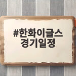 한화 이글스 경기일정에 비상! 왕옌청 폐렴 입원…복귀 시점과 향후 일정은? 한화이글스 경기일정