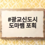 광교신도시 도마뱀 포획 일대기 11일간의 추적과 포획 성공 이야기 광교신도시 도마뱀 포획