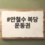 안철수 복당 운동권