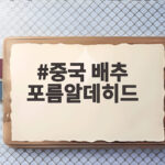 중국 배추 포름알데히드