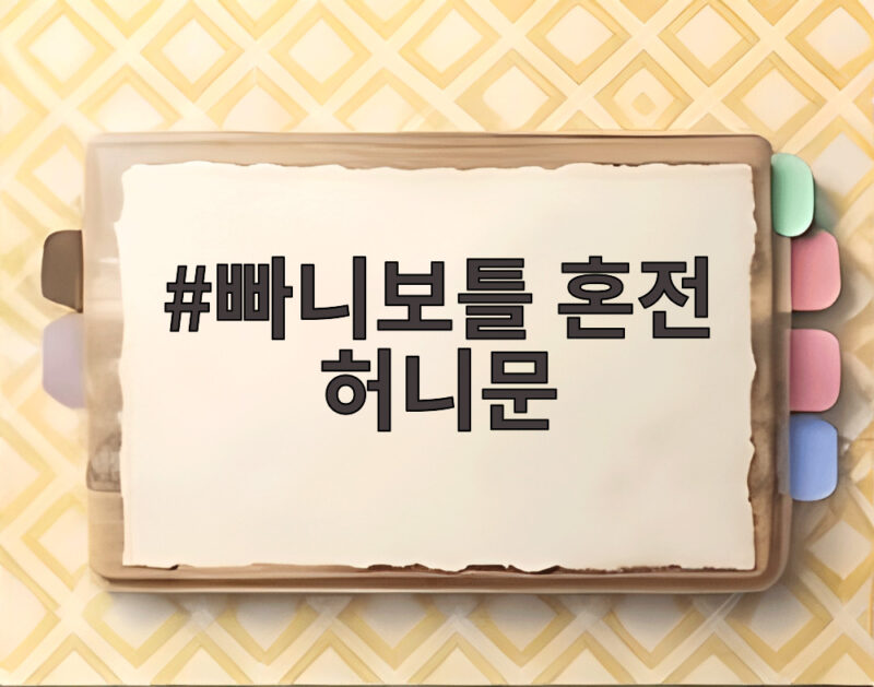 빠니보틀 혼전 허니문