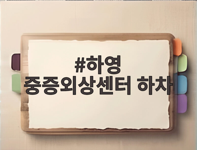 하영 중증외상센터 하차