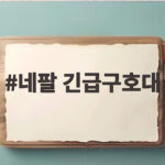 네팔 긴급구호대 파견 소식 실종 한국인 9명 수색에 총력 네팔 긴급구호대