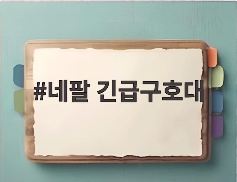 네팔 긴급구호대
