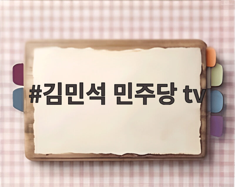 김민석 민주당 tv