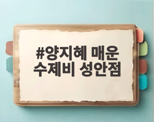 양지혜 매운 수제비 성안점