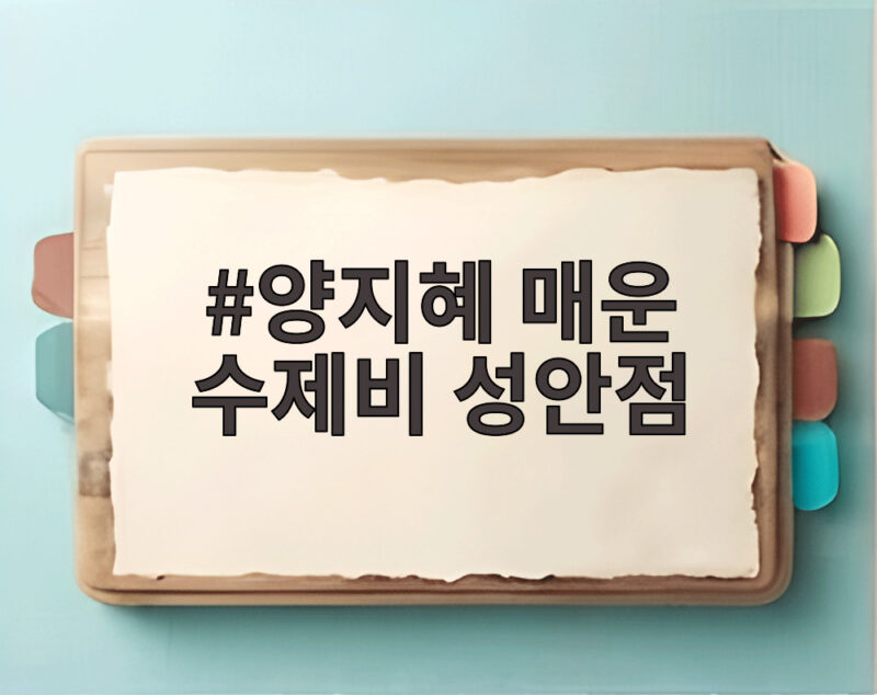 양지혜 매운 수제비 성안점