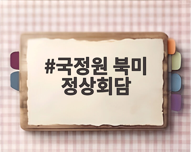국정원 북미 정상회담 어느 때라도 가능하다는 관측 나왔다 1 국정원 북미 정상회담
