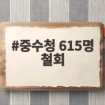 중수청 615명 철회 막판 이탈에 인력 확보 비상 걸렸다 중수청 615명 철회