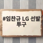 임찬규 LG 선발 투구