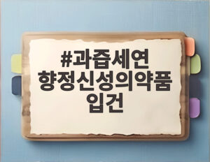 과즙세연 향정신성의약품 입건