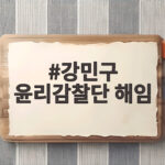 강민구 윤리감찰단 해임 하루 만에 무슨 일이 있었을까요 강민구 윤리감찰단 해임