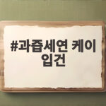 과즙세연 케이 입건