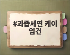 과즙세연 케이 입건