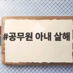 공무원 아내 살해 사건 이혼 소송 중 계획 범행과 가정폭력 신고 이력의 전말 공무원 아내 살해