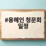 용혜인 청문회 일정 이달 14일부터 18일 사이 윤곽 잡혀 용혜인 청문회 일정