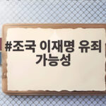 조국 이재명 유죄 가능성