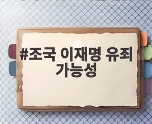 조국 이재명 유죄 가능성