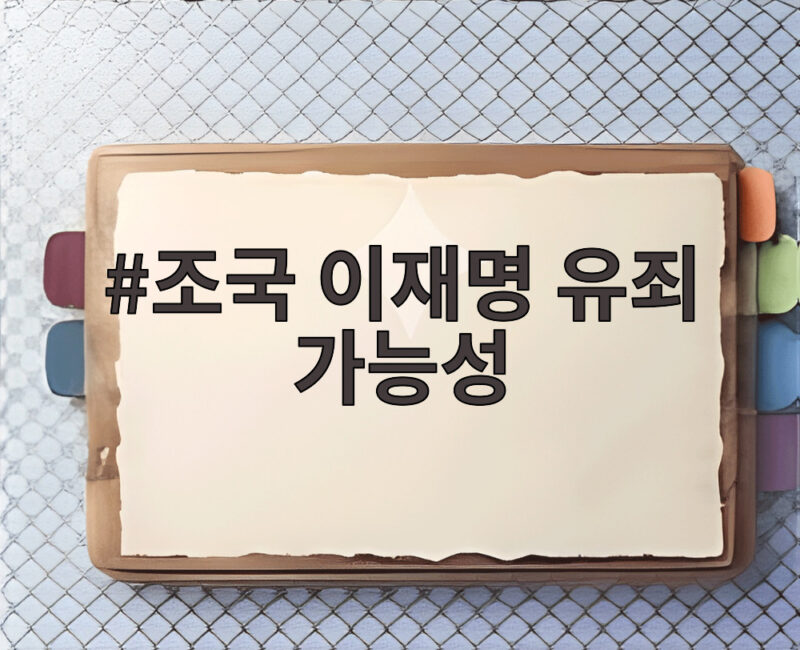조국 이재명 유죄 가능성