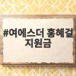 여에스더 홍혜걸 지원금 매달 1억 8천만원 받는 남편의 진짜 이야기 여에스더 홍혜걸 지원금