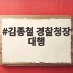 김종철 경찰청장 대행