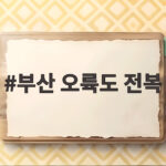 부산 오륙도 전복 사고 실종자 6명 구조되지 않은 이유와 수색 상황 부산 오륙도 전복