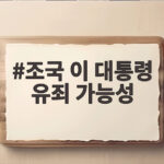 조국 이 대통령 유죄 가능성 발언 민주당 반응 살펴보니 조국 이 대통령 유죄 가능성