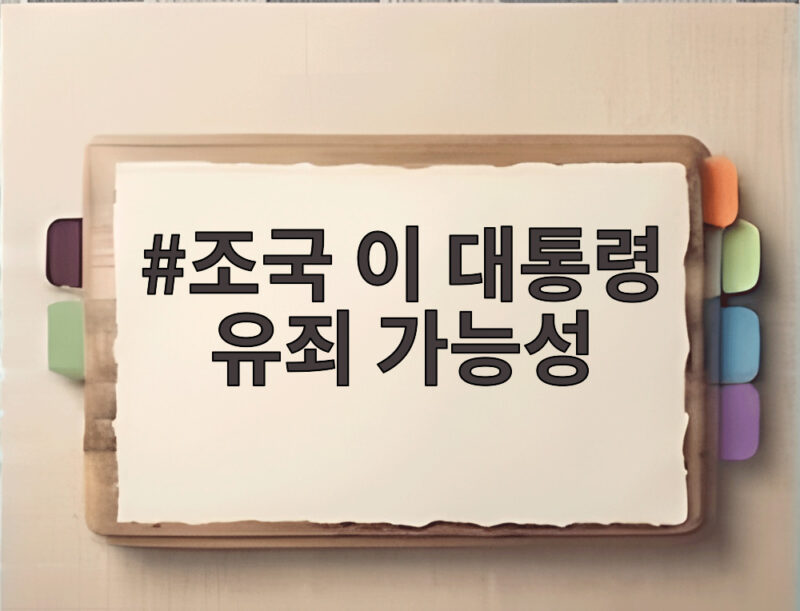 조국 이 대통령 유죄 가능성