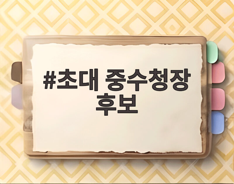 초대 중수청장 후보 누가 될까 백해룡 대기발령 황운하 거절 1 초대 중수청장 후보