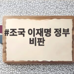 조국 이재명 정부 비판