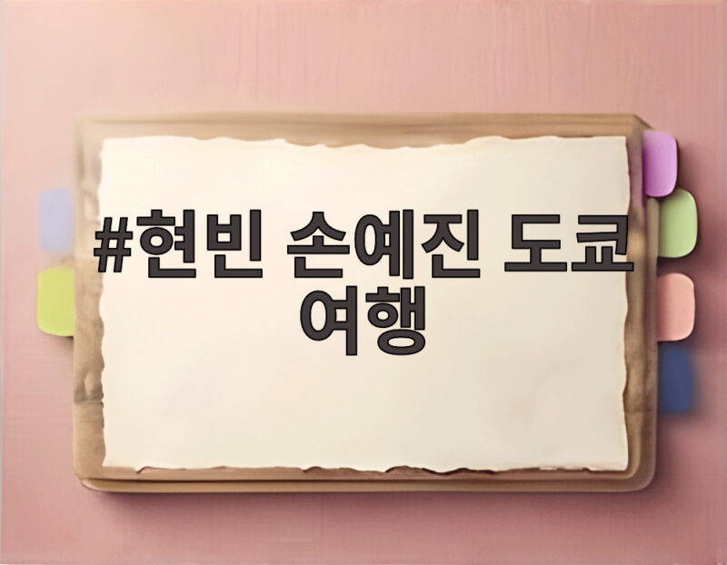 현빈 손예진 도쿄 여행 목격담 아들과 엄마 소매 손길 포착 1 현빈 손예진 도쿄 여행
