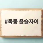 목동 윤슬자이