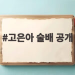 고은아 술배 공개