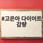고은아 다이어트 감량 2주 만에 3.3kg 뺀 현실적인 비결 뱃살 고민 있다면 고은아 다이어트 감량