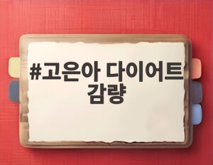 고은아 다이어트 감량