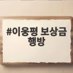 이웅평 보상금 행방