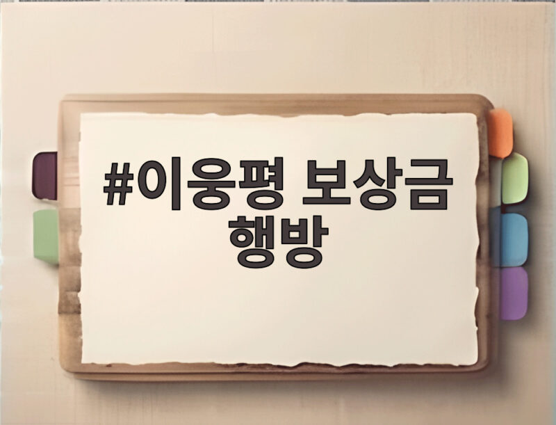 이웅평 보상금 행방 15억 6천만 원은 어디로 흘러갔을까 1 이웅평 보상금 행방
