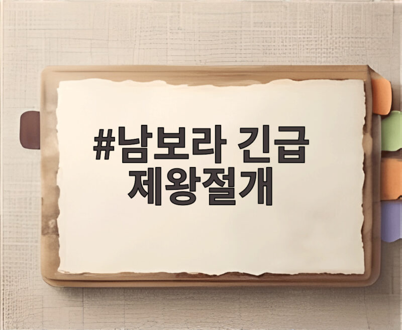 남보라 긴급 제왕절개