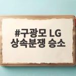 구광모 LG 상속분쟁 승소 항소심 앞두고 두 소송 모두 승소 구광모 LG 상속분쟁 승소