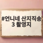 언니네 산지직송 3 촬영지 태안과 통영의 생생한 현장 이야기 언니네 산지직송 3 촬영지