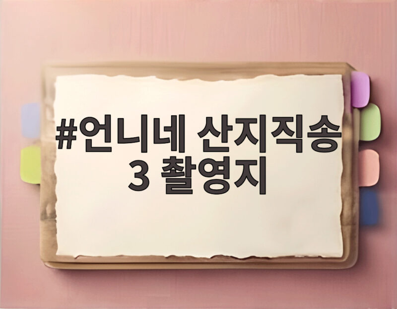 언니네 산지직송 3 촬영지 태안과 통영의 생생한 현장 이야기 1 언니네 산지직송 3 촬영지