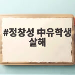 정창성 중국 유학생 살해 사건 신상 공개 후 본국 송환 여론까지 전말 정창성 中유학생 살해