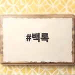백록이라는 이름 뒤에 숨겨진 제주와 교육 그리고 안전 이야기 백록
