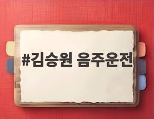 김승원 음주운전