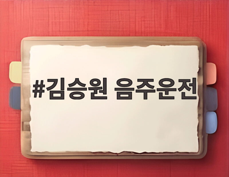 김승원 음주운전